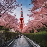 日本东京塔高多少米?
