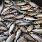 杭州市场上甲鱼的售价一般在几块钱到几十块之间?