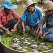 近年来越来越多的农民开始转向饲养小型鱼类作为家畜以供食用或销售给消费者然而这种养殖方式是否与其他传统水产养殖方法有所不同呢?