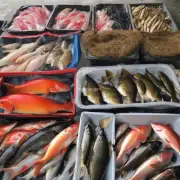 可以提供一些关于在中国不同地区购买不同种类的鲤鱼时所需支付的平均价格差异吗?