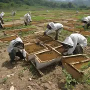 土峰诱蜂技术在农业发展方面的前景是什么?