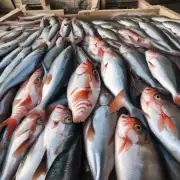 近期甲鱼批发价是否在上涨或下跌趋势中?
