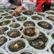 这几天连江市鲍鱼的价格有涨吗?如果涨了涨幅是多少?