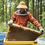 养蜂人养蜂的盈利模式是怎样的?