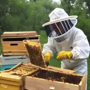 一句话总结什么是养蜂技术?
