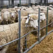 在以科技养羊事业中数据挖掘和机器学习技术如何提高效率降低成本并提升产品质量吗?
