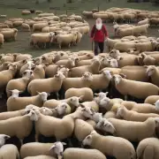 如果我想要了解养羊人的健康状况可以尝试找到一些关于养羊人的调查报告或者研究报告吗?