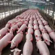 目前河南省生猪生产是否出现了供给过剩的现象?