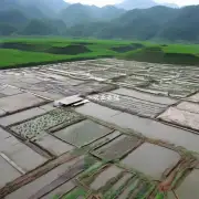 重庆哪里有比较实惠又有质量保证的泥鳅苗养殖场?