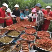 关于江苏南京地区的草虾价格是否有所波动呢?