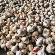 2017年温江大蒜的供应量如何?