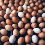 鸡蛋价格上涨对整体通胀率有何影响?