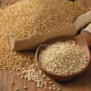 用何种方式将谷物与豆科植物混合用于饲料生产?