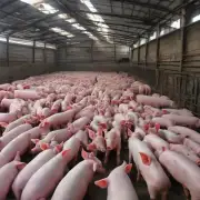 对于今日江苏苏南地区的仔猪价格波动情况你是否认为这是由于供应过剩导致的?