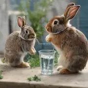 我想知道兔子的价格变化趋势一杯水后在市场上销售的兔子会是什么价位呢?