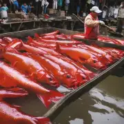 你在过去几年中一直关注于哪个省份的鲤鱼价格变化?