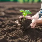 如何正确地选择适合当地的种植土壤?