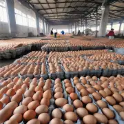 哪些因素会影响陕西省鸡蛋市场整体价格的走势?