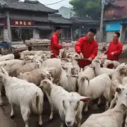 在江苏省内不同地区的山羊市场中山羊肉的价格会如何变化?
