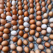 如何在饲养过程中提高鸡蛋品质量并减少蛋壳疾病的风险?