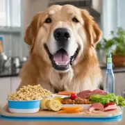 饲养大型狗时如何调整食物摄入量并提供适当的运动来保持健康体重?