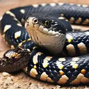 你可以分享一些关于大王蛇的冷知识和趣闻吗?例如它们是如何使用自己的唾液来清洁自己?