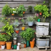 哪些植物适合在大棚中生长?