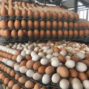昨天禽蛋网国内鸡蛋生产量和需求量分别是多少?