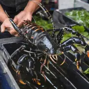 你能介绍一些常见的越南黑虎虾养殖技术吗?