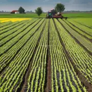 农场如何平衡氮磷钾等营养素的需求以提高农作物产量?