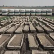如何合理使用肥料和农药以最大限度地促进沙棘生长和产量?