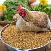 养鸡用的饲料中添加了激素和抗生素这种饲料对健康人有害吗?