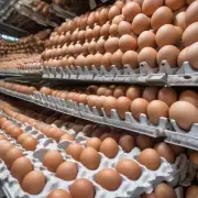 昨天禽蛋网全国鸡蛋平均零售价是多少?