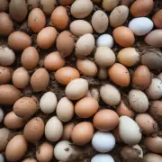 在市场上找到土鸡蛋有多难?