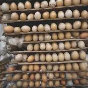 最近几个月来鸡蛋市场的供求关系发生了哪些变化?