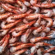 是否可以为您提供一些关于南美虾市场供求关系的详细数据和图表来支持您的分析结论呢?