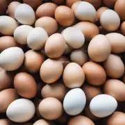 每一周河北省藁城市鸡蛋的价格是多少?