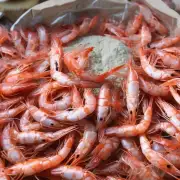 虾粉如何添加到虾饲料当中以确保其最大限度地吸收虾体营养物质并提高生长速度?
