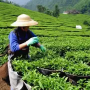 贵州省的茶叶生产中常用的生物农药有哪些?