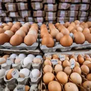 中国的鸡蛋市场对于消费者来说有多么重要?