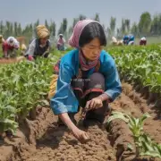 十三五期间我国农业产业化重点任务包括提高农产品质量安全水平实现全产业链现代化与信息化建设推进农村一二三产融合发展这些方面有哪些具体措施?