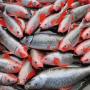 请描述一下华南地区的新鲜鲤鱼价格趋势是怎样的?