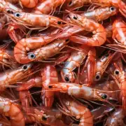 最近有一项研究发现某些种类的水生动物如虾可以使用人类食物作为饲料来源这与传统饲料有何不同?