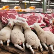 根据目前市场的需求情况未来一年内国内市场上羊肉的价格趋势会有何变化呢?