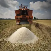 今年的全球贸易环境对稻谷价格有何影响?