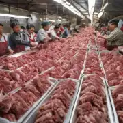 肉类市场的价格波动与肉鸡苗的价格波动有什么关系?