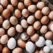 目前中国报价中心鸡蛋价格是多少钱每公斤?