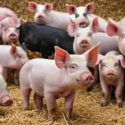 饲料中的微量元素如何影响母猪的生产性能和健康状况?