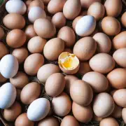 今天的武汉市市场中哪种类型的鸡蛋比较受欢迎?
