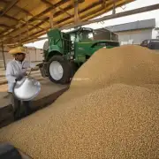 今天的进口大豆现货价是多少?